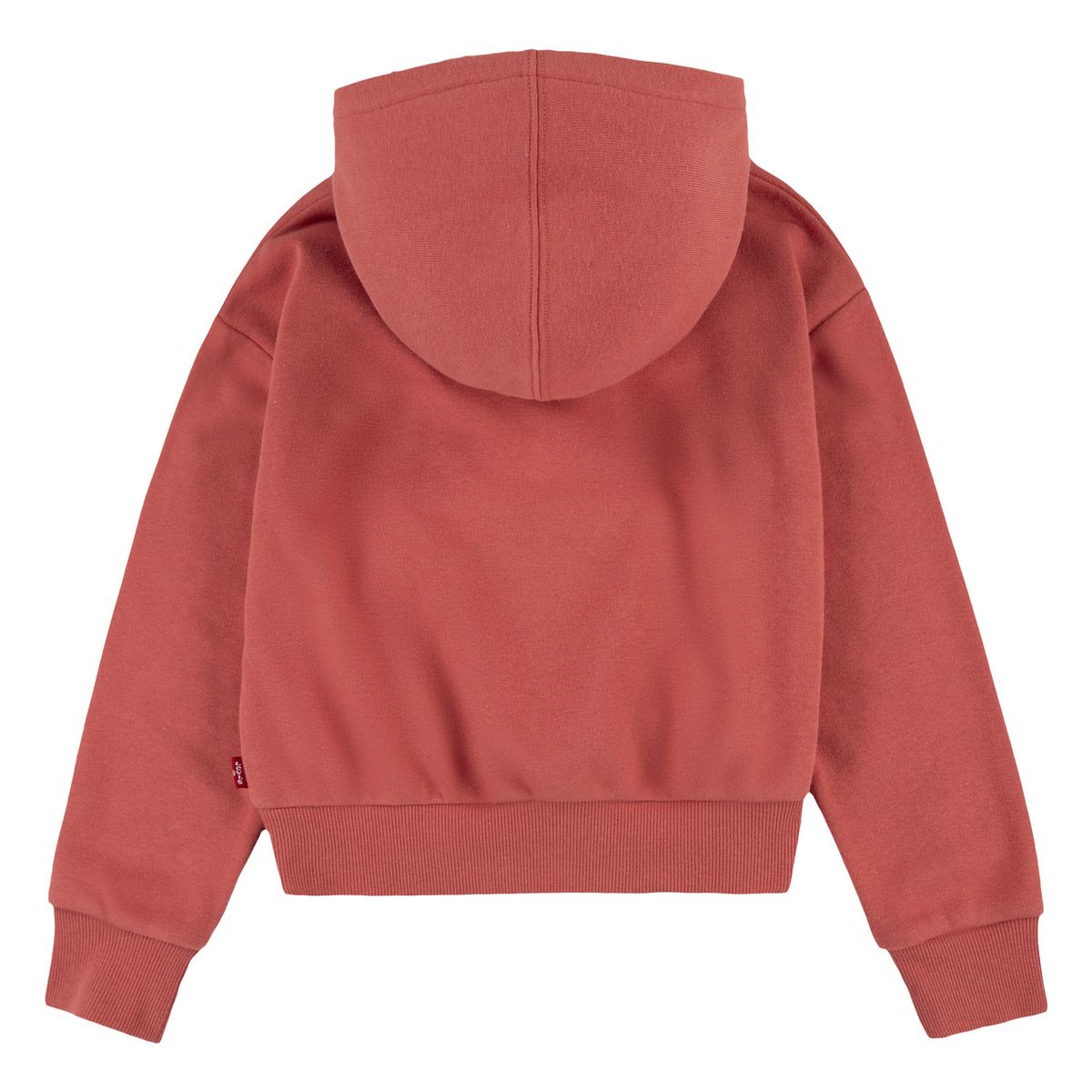 LEVIS - Polera para Niña Meet & Greet Hoodie Levis