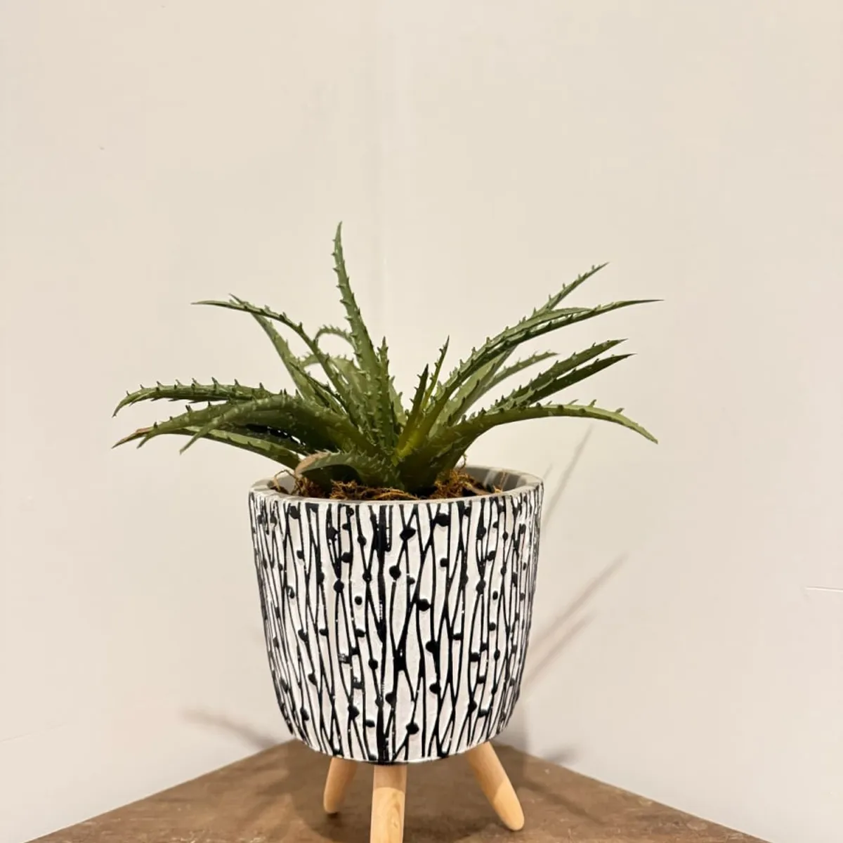 MAP DESIGN HOME - Arreglo Floral Cactus Aloe 27x32 cm