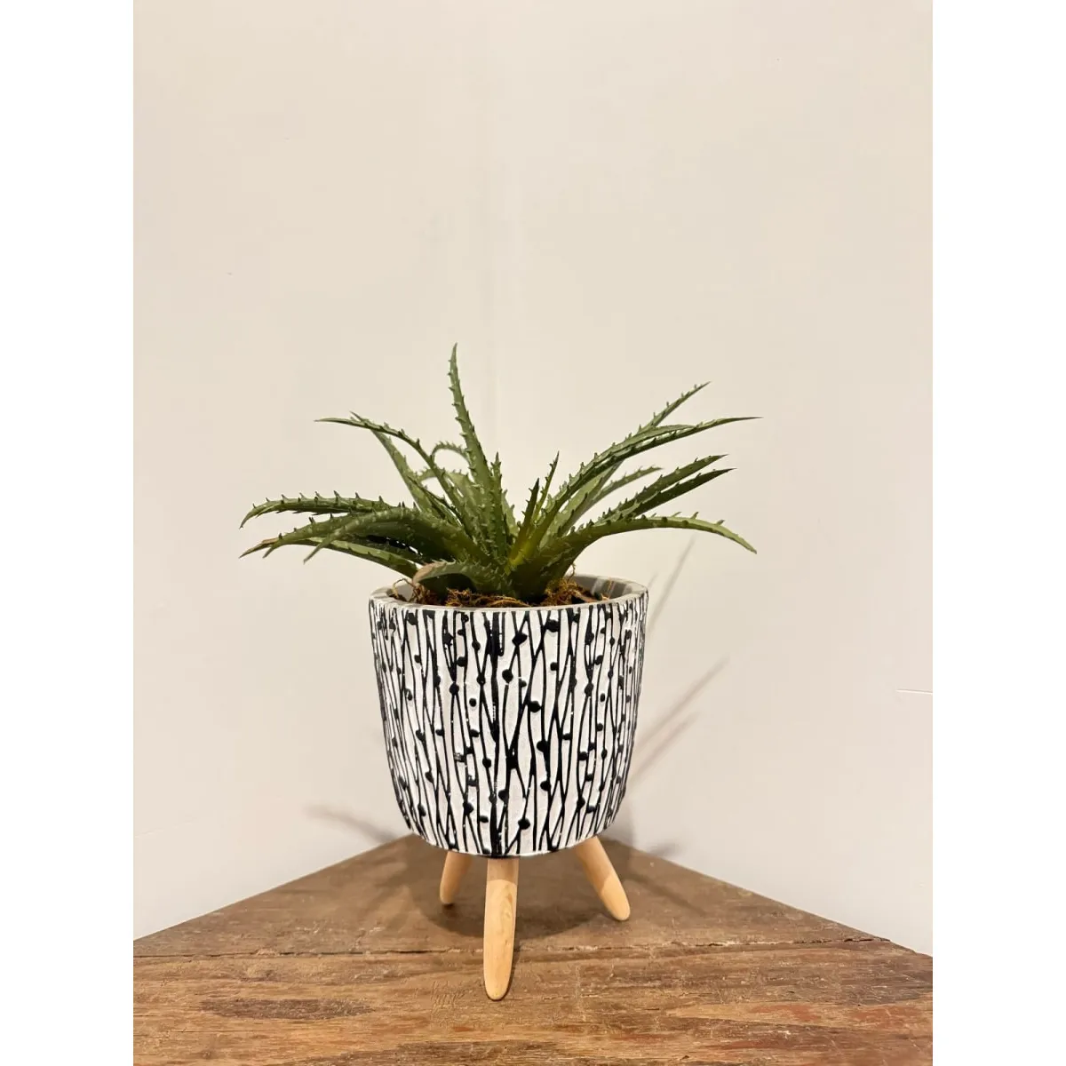 MAP DESIGN HOME - Arreglo Floral Cactus Aloe 27x32 cm