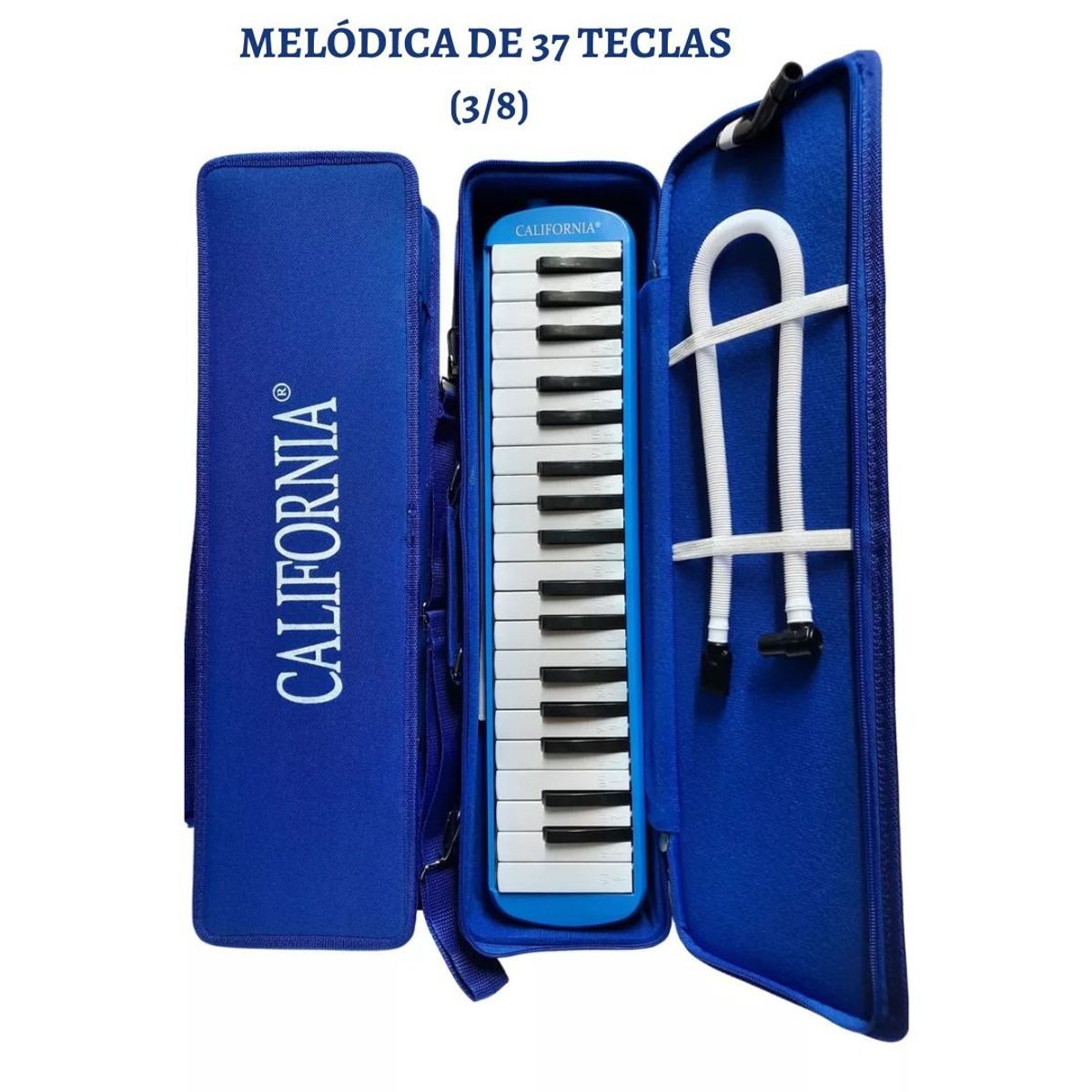 CALIFORNIA - Melódica ORIGINAL de 37 teclas "CALIFORNIA" - AZÚL