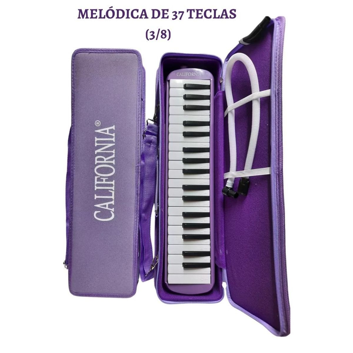 CALIFORNIA - Melódica ORIGINAL de 37 teclas "CALIFORNIA" - LILA