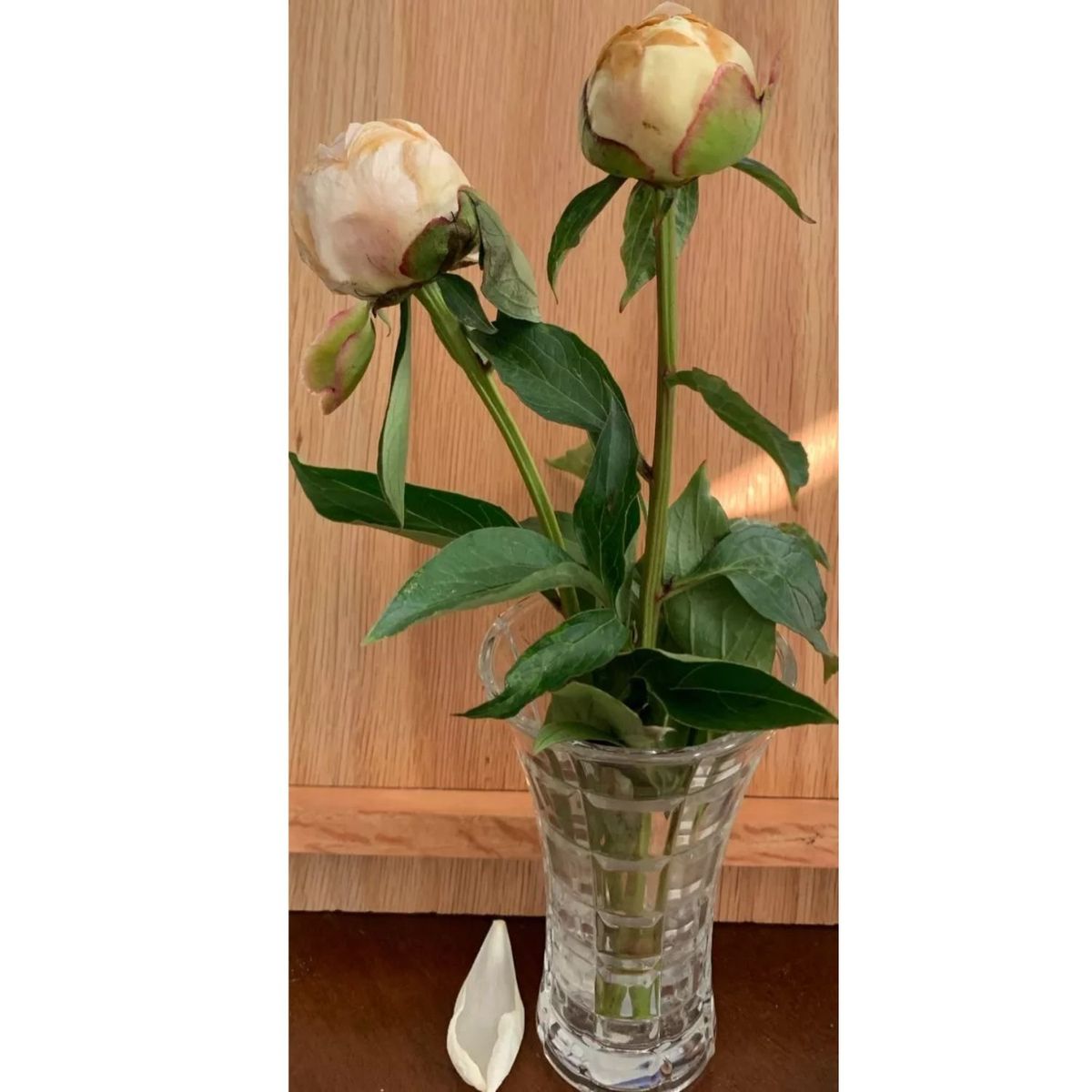 GENERICO - Florero De Vidrio Con Cuadros 24 Cm