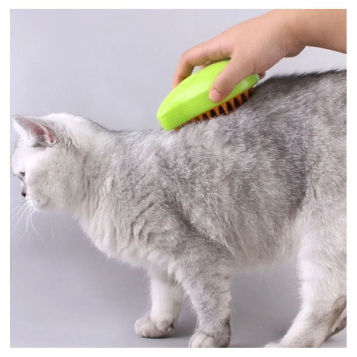GENERICO - Cepillo Peine Vaporizador para mascotas Verde