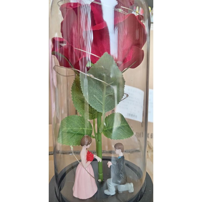 GENERICO - Rosa Eterna Encapsulada