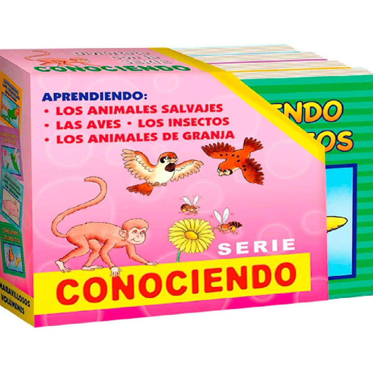 GENERICO - Pack X 4 Libros Conociendo Los Animales
