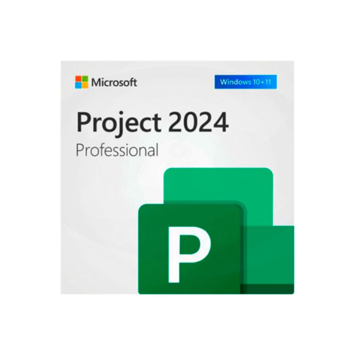 MICROSOFT - PROJECT PRO MICROSOFT 2024  PN MSEP207001