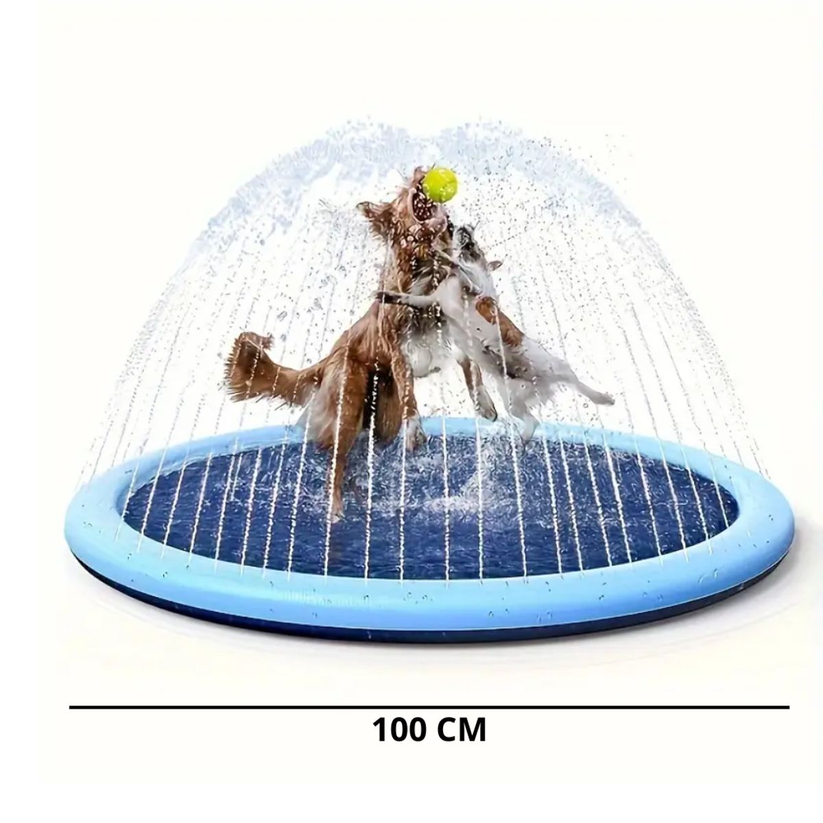 GENERICO - Pileta Para Mascotas Antidesgarre VERANO