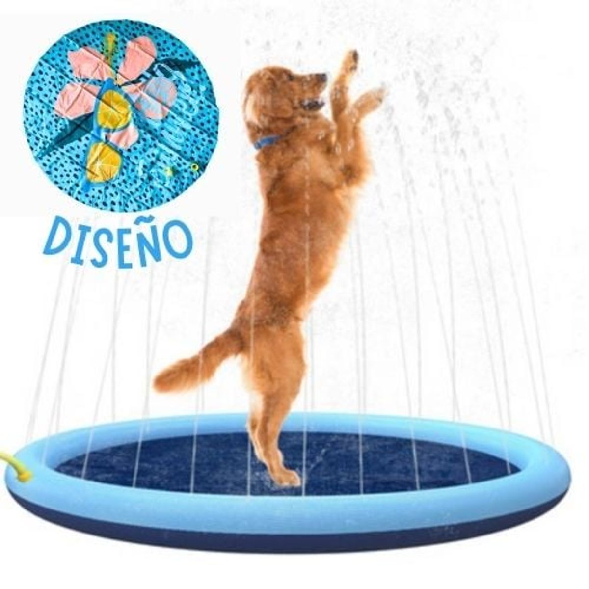 GENERICO - Pileta Para Mascotas Antidesgarre SUMMER