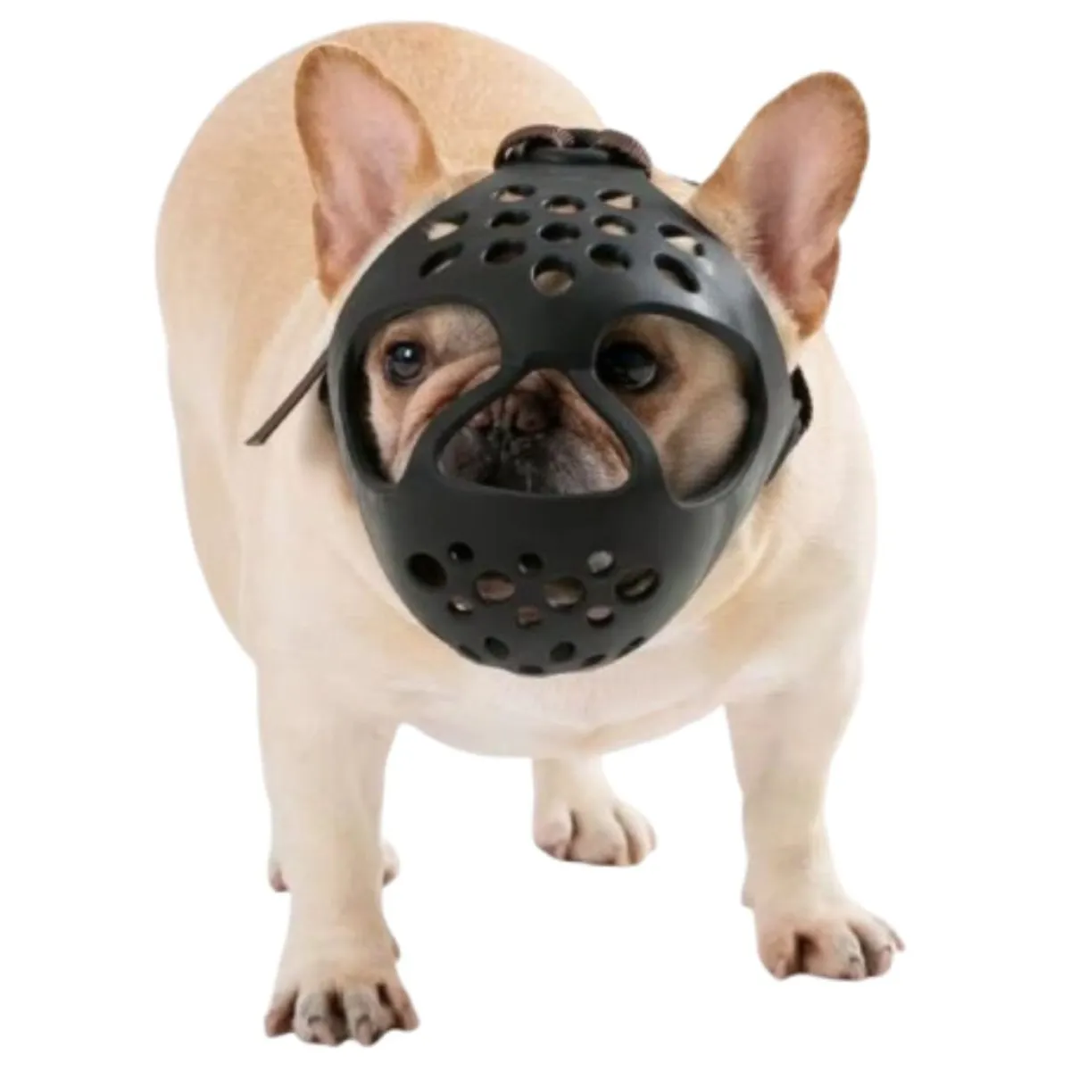 GENERICO - Bozal Máscara De Silicona para Perros de Cara Plana Talla L