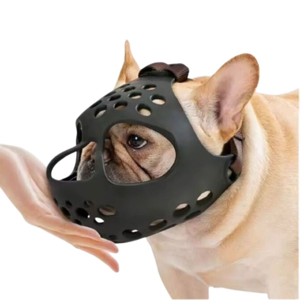 GENERICO - Bozal Máscara De Silicona para Perros de Cara Plana Talla XL