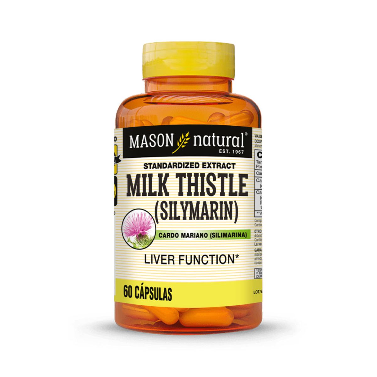 MASON NATURAL - Milk Thistle (Silimarina) - Mason Natural - 60 Cápsulas