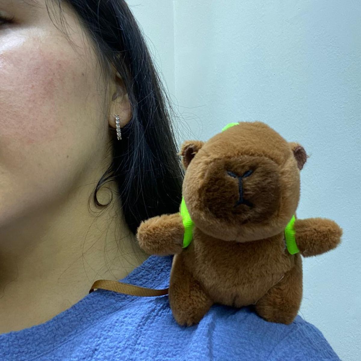 GENERICO - Peluche capibara imantado