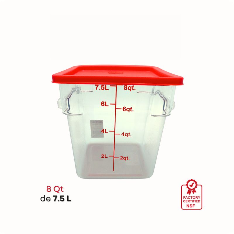 TIGERBEE - Contenedor Transparente con tapa de 8Qt