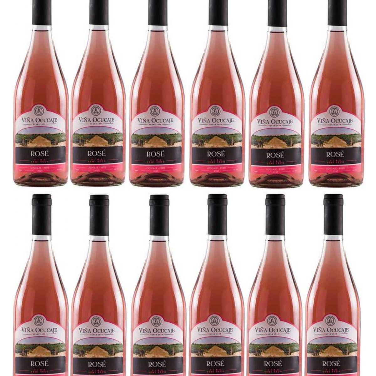 OCUCAJE - Vino Rosé OCUCAJE Rosé Semi Seco 750ml - 12 UND