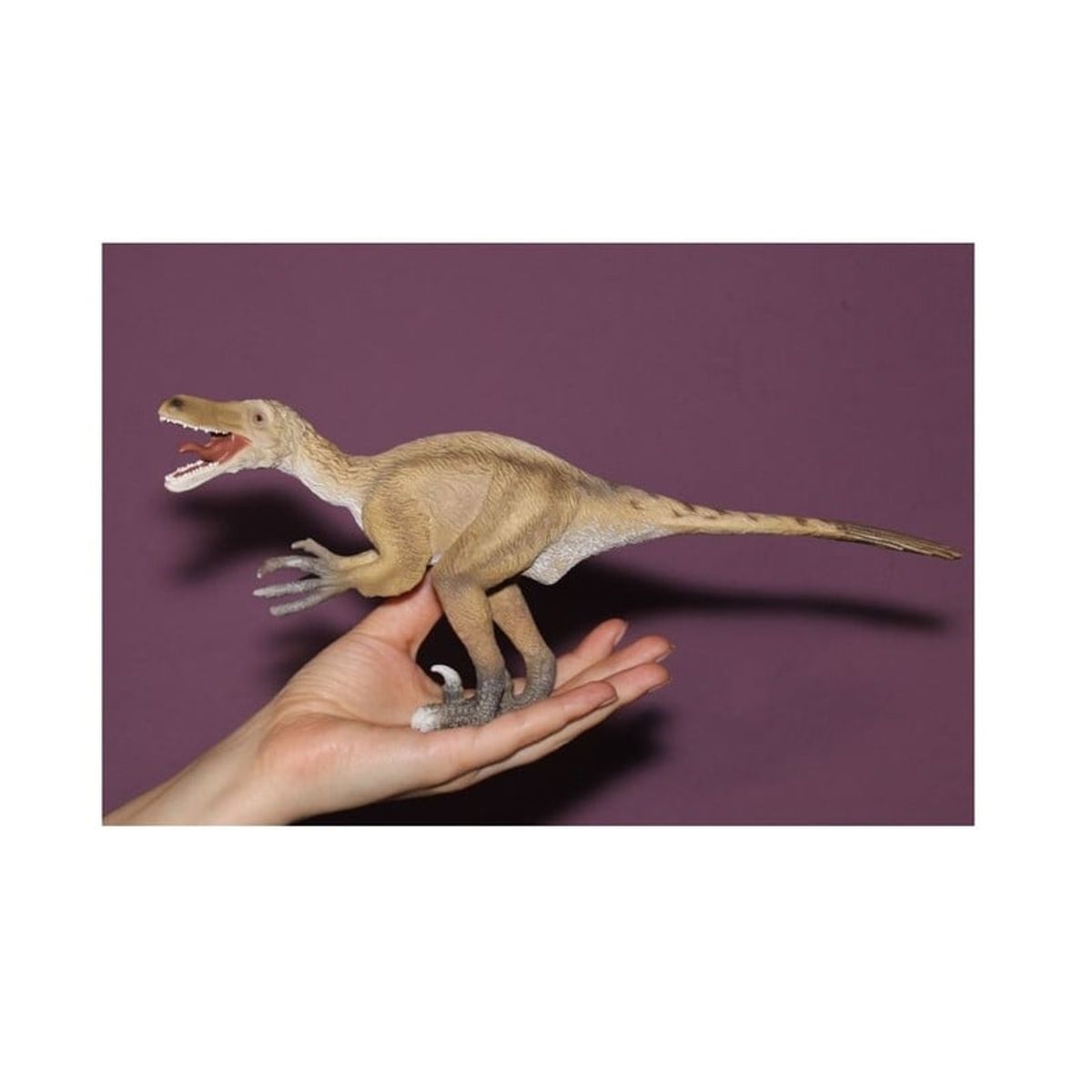 COLLECTA - Figura Deluxe Collecta Velociraptor