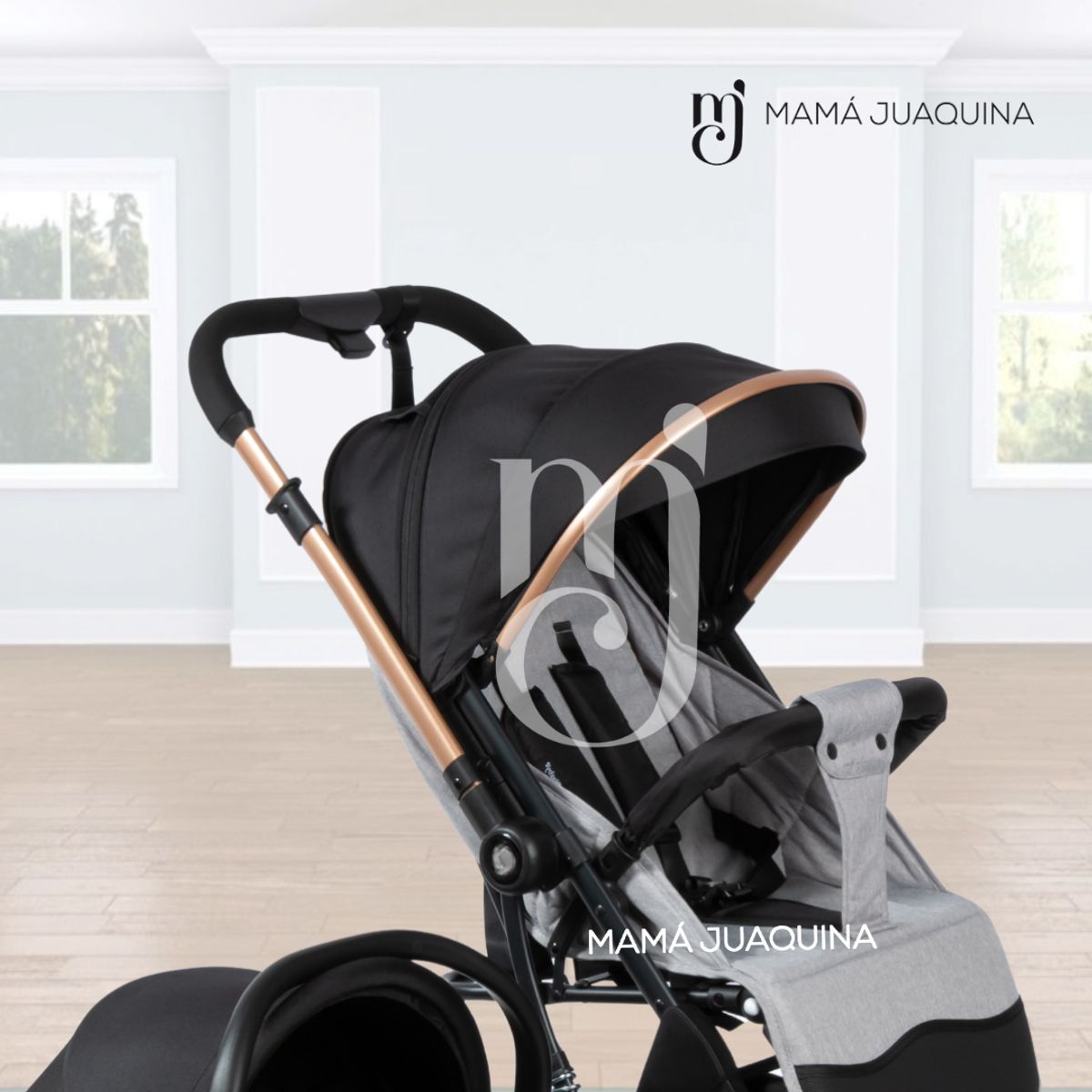 BEAUTIFUL - Coche Moisés Travel System «SPARROW» Porta Bebé Gray