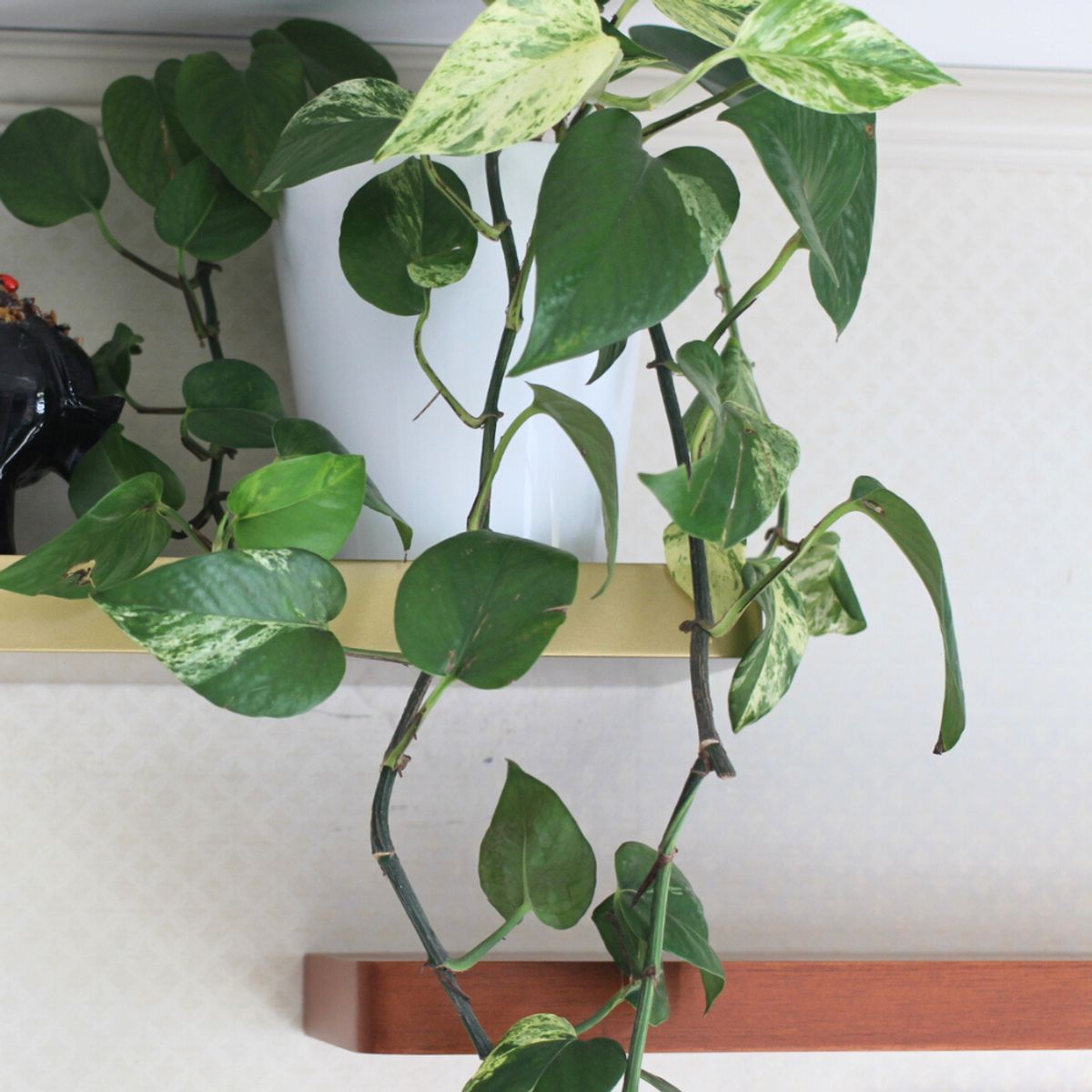 GENERICO - Repisa De Madera Para Pared Flotante 50x15x4 cm