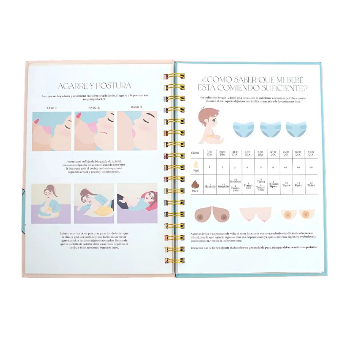 GENERICO - Agenda un Día a la Vez – Mis Primeros 6 Meses de Maternidad