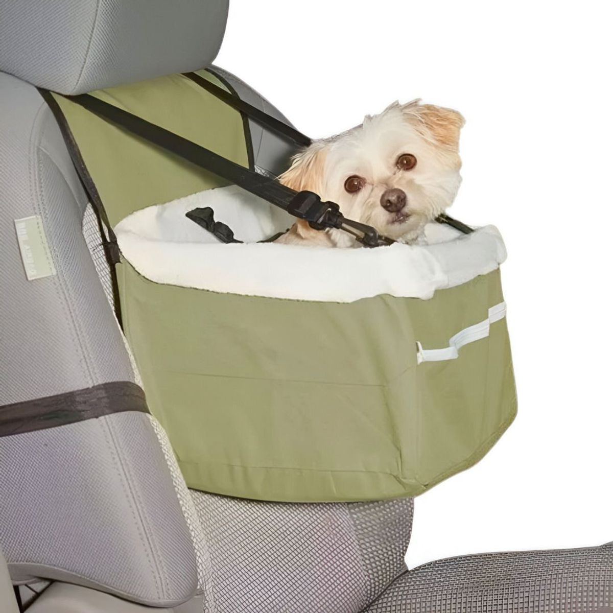 GENERICO - Asiento Caja Auto Copiloto para Mascotas Pequeñas VERDE