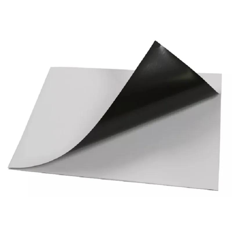 XCLUSIVE - Papel Fotografico Imantado Brillante A4 5 Hojas imantadas