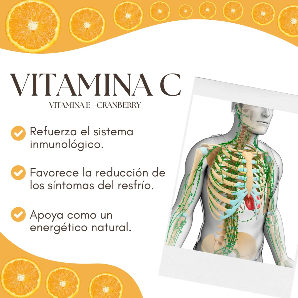 DINOA - Vitamina C 1000 Pote de 300gr Dinoa- Antioxidantes -Sistema inmunológico