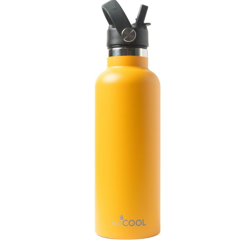 WECOOL - Botella Térmica de acero inoxidable 650ml tapa con pico