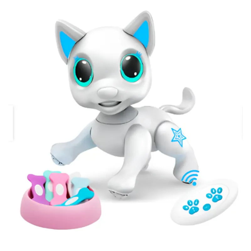 GENERICO - ROBOT DOLLY Y BONI CON CONTROL