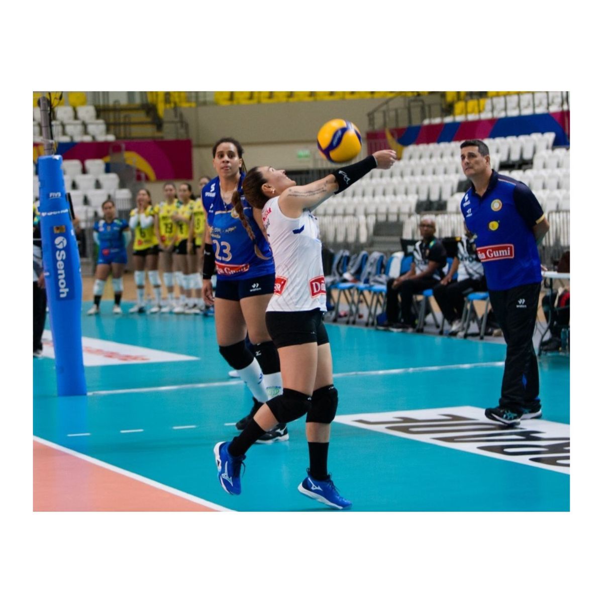 MTD - Rodilleras Voley MTD de Cúpula de Gel - Talla Adulto