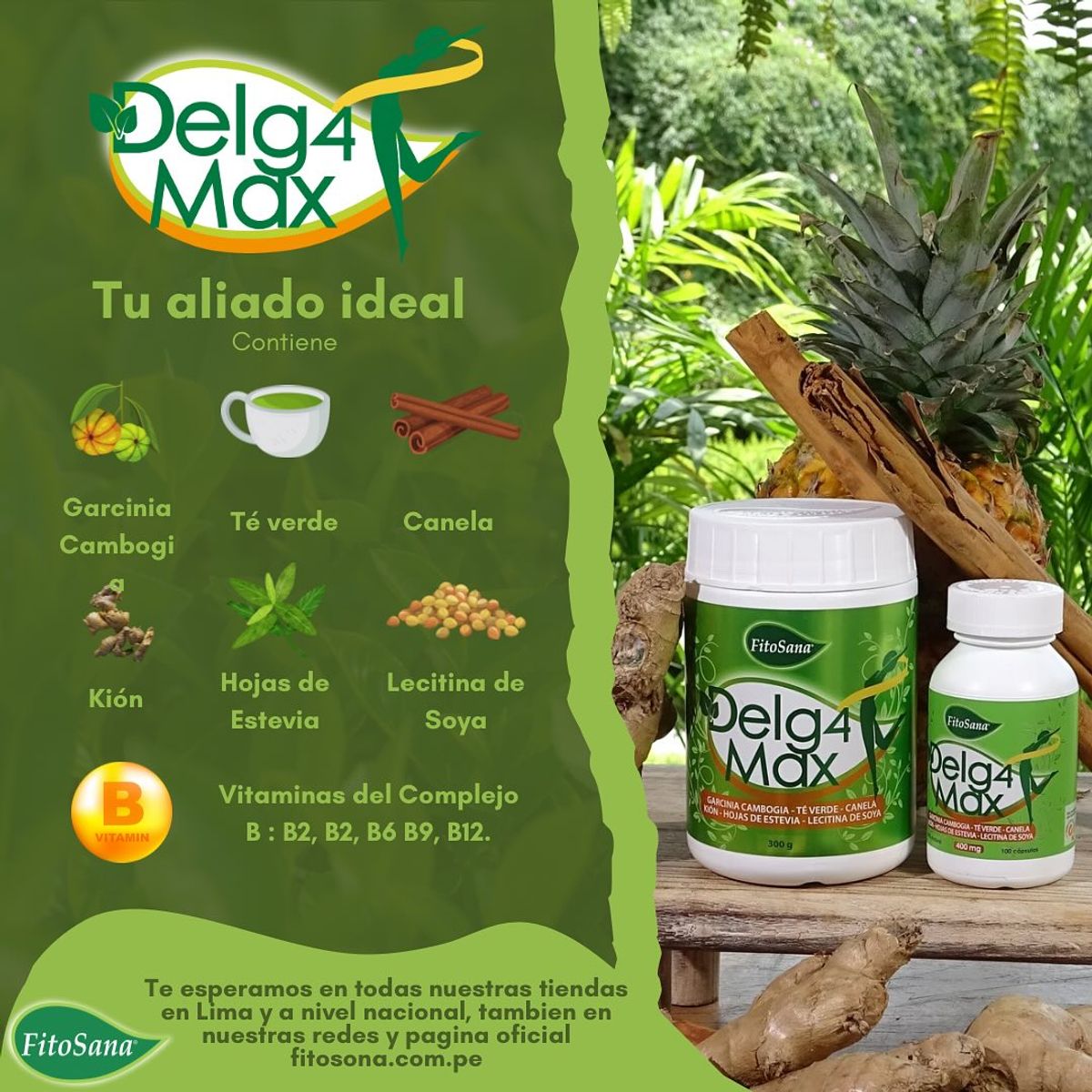 FITOSANA - DELG4MAX FITOSANA - BATIDO 300G