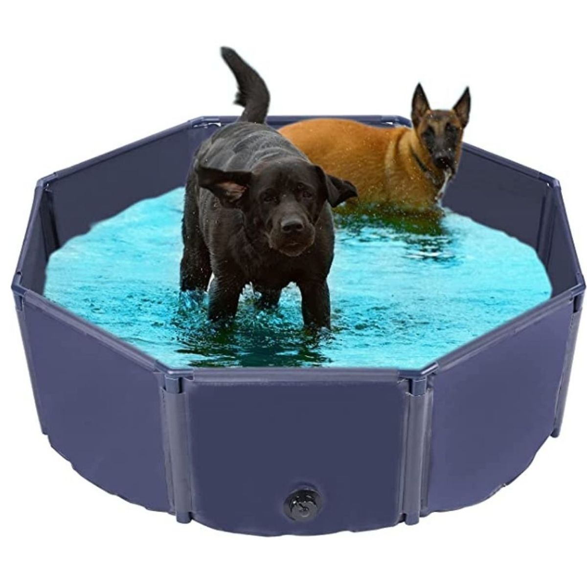 GENERICO - Piscina Portatil Para Mascotas L Azul Para Este Verano
