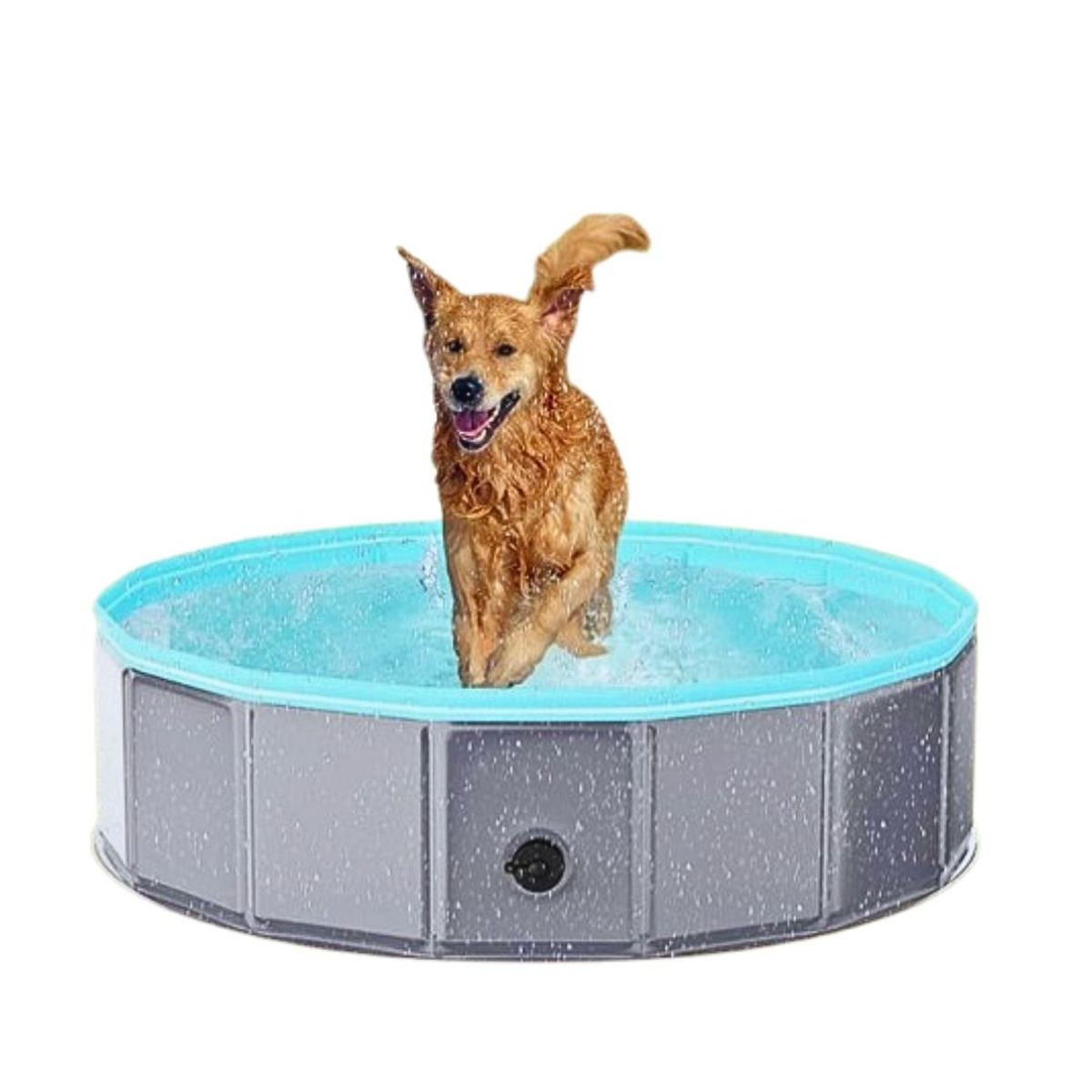 GENERICO - Piscina Portatil Para Mascotas XL Gris y Celeste