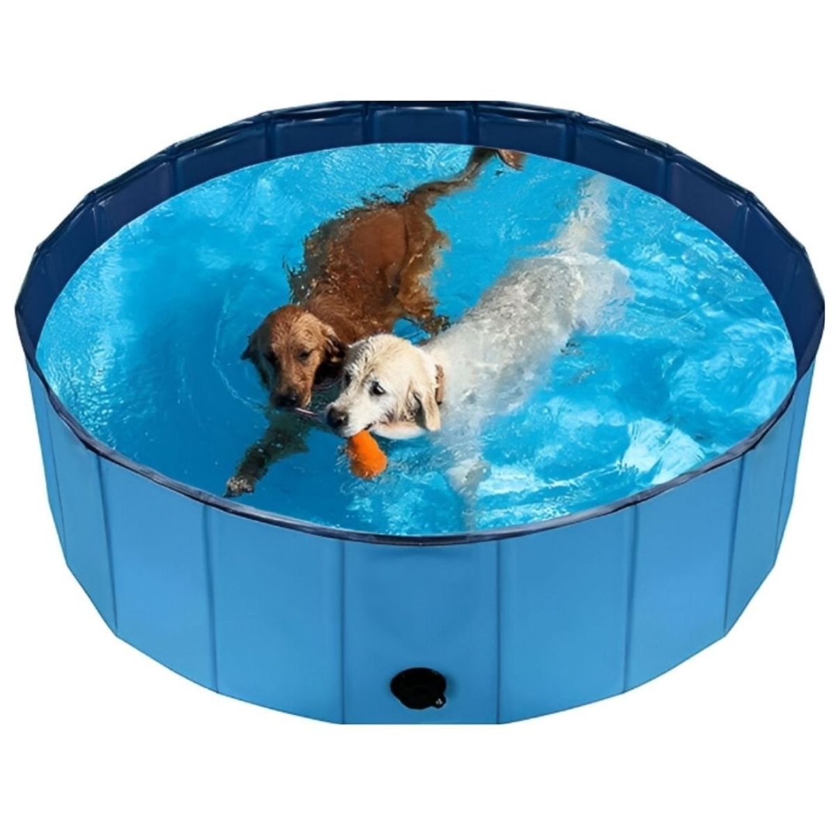 GENERICO - Piscina Portatil Para Mascotas XXL Azul y Celeste