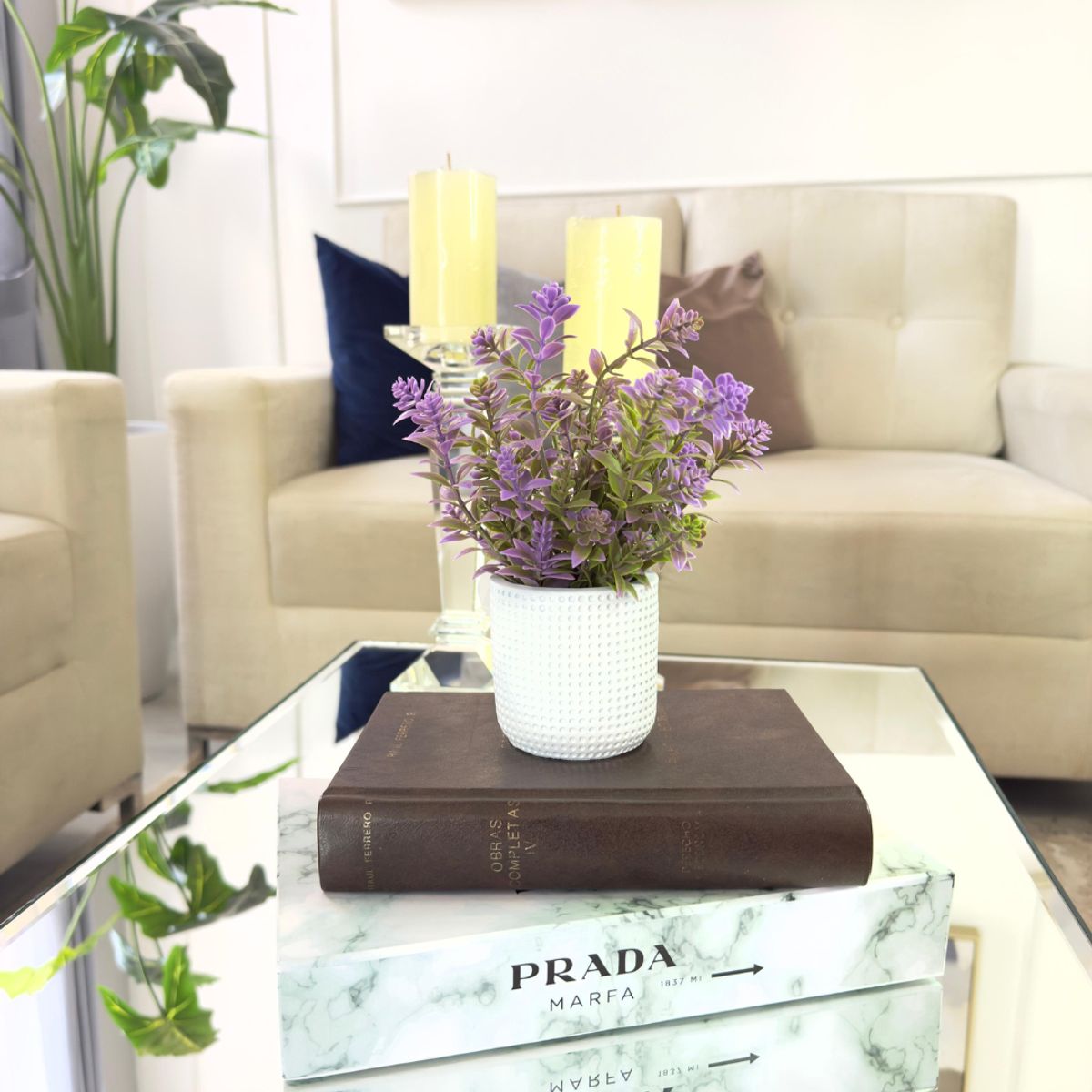 GENERICO - PLANTA DECORATIVA LILA