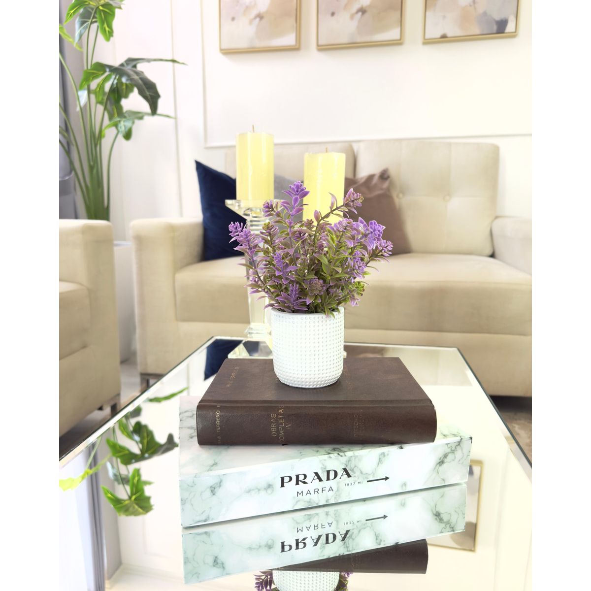 GENERICO - PLANTA DECORATIVA LILA