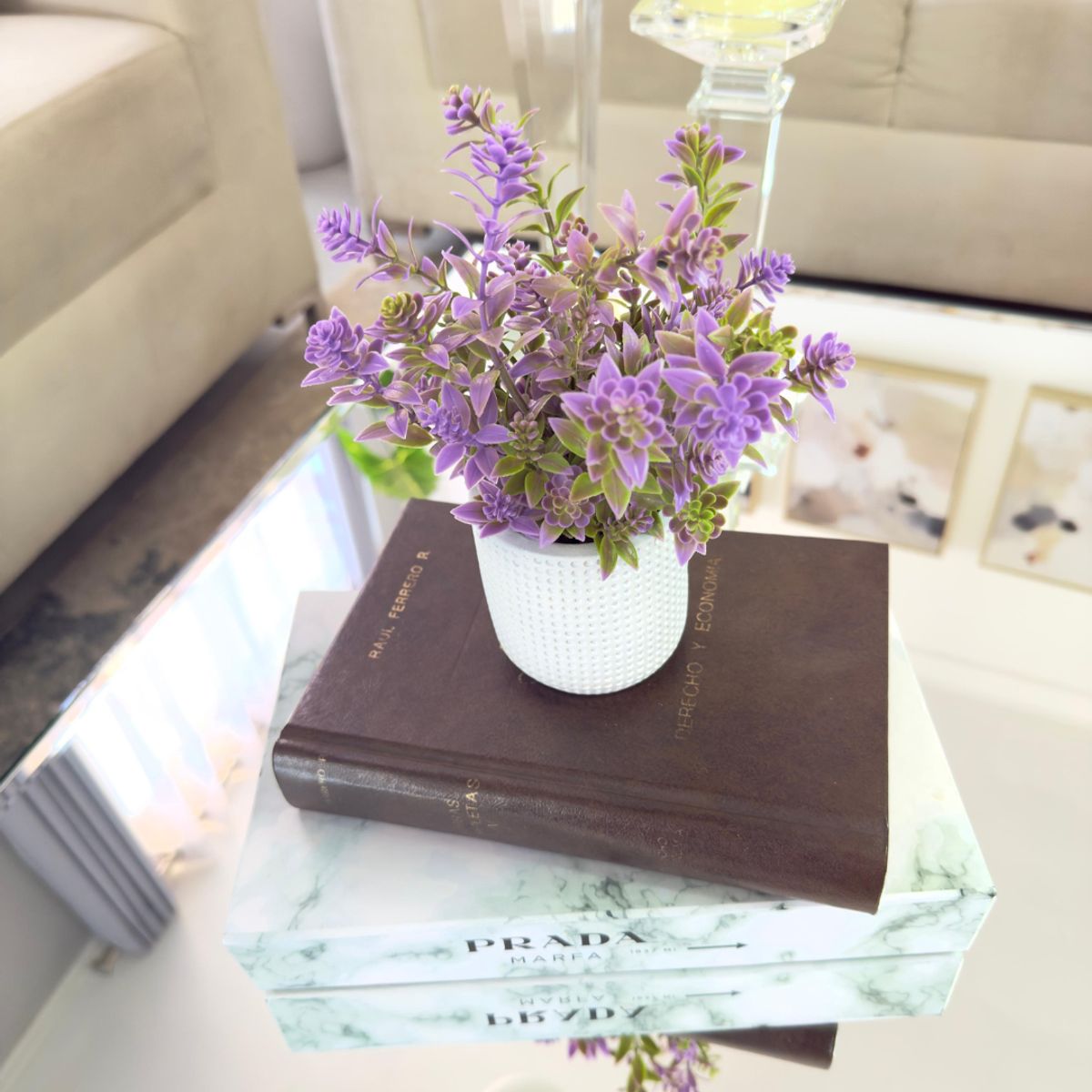 GENERICO - PLANTA DECORATIVA LILA