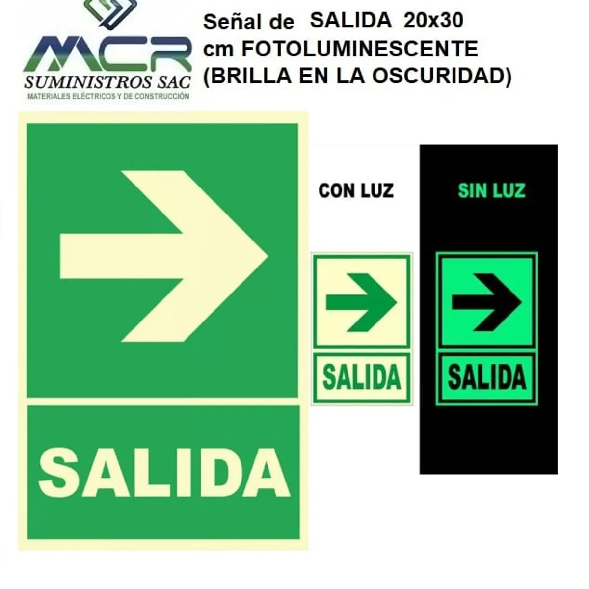 GENERICO - Señal de SALIDA 20x30 cm FOTOLUMINISCENTE BRILLA EN LA OSCURIDAD