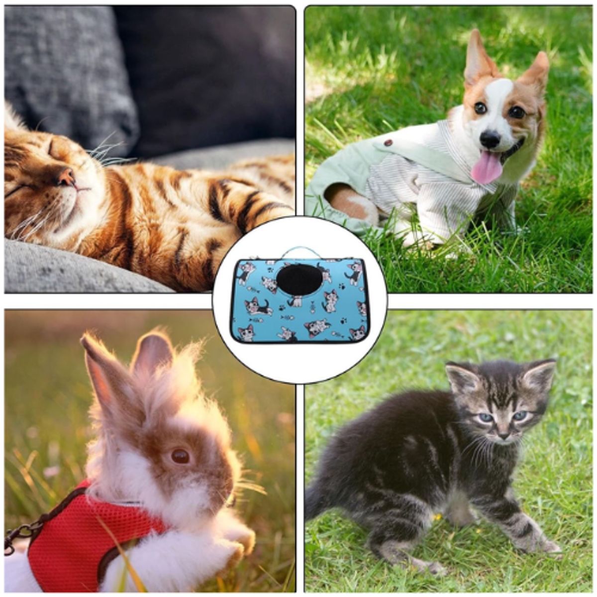 INSPIRA MARKET - Bolso Transportador para Mascotas Celeste