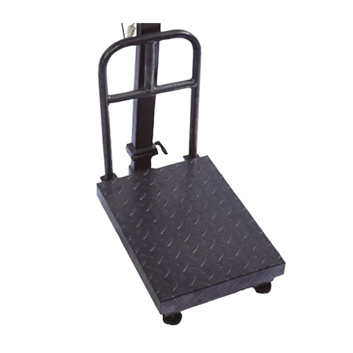 GENERICO - Balanza Electronica de Plataforma Con Rack 300 KG