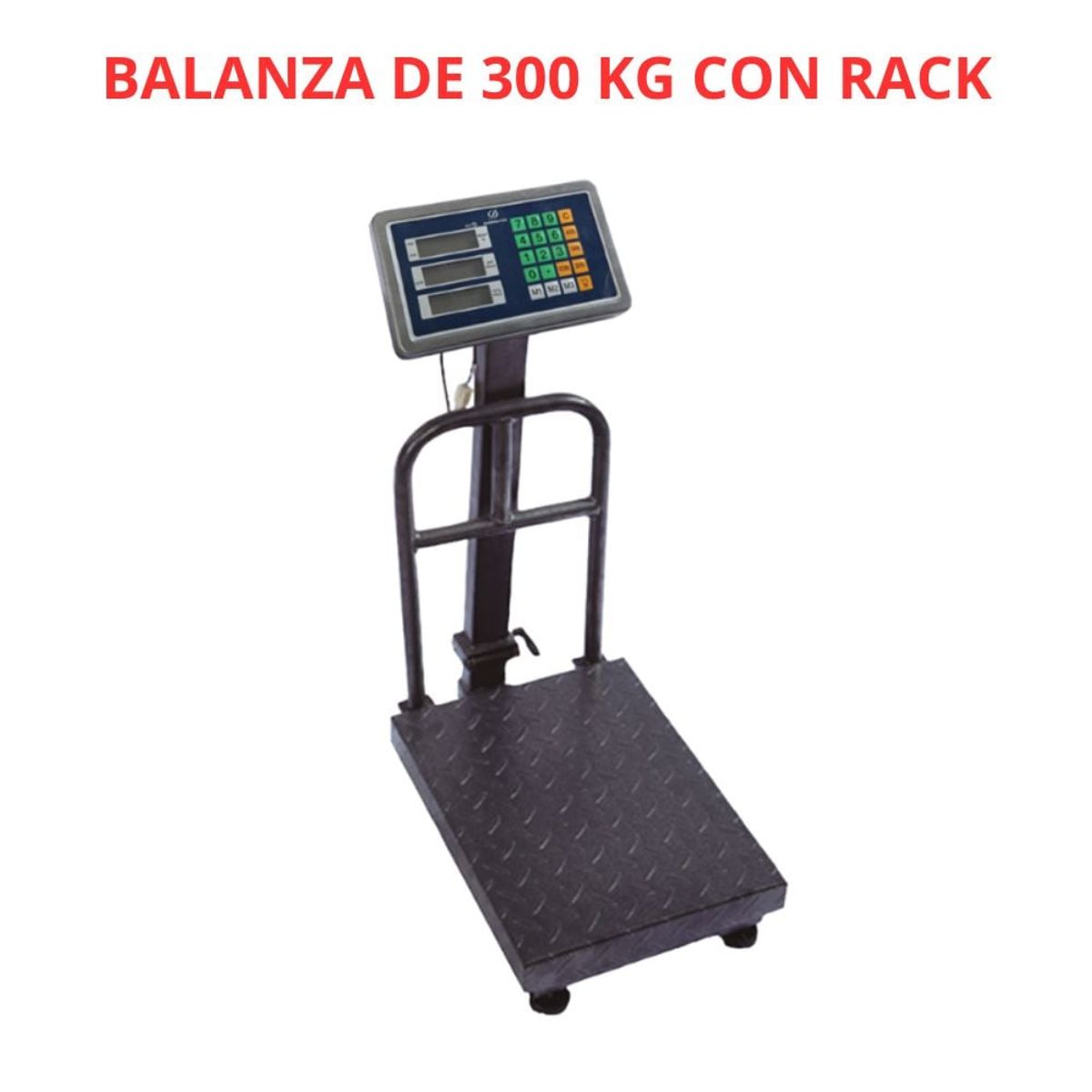 GENERICO - Balanza con Plataforma Rack Premium de 300 KG