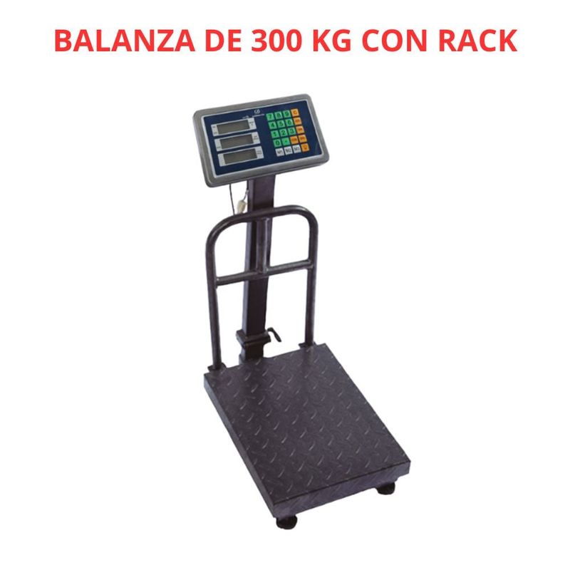 GENERICO - Balanza con Plataforma Rack Premium de 300 KG