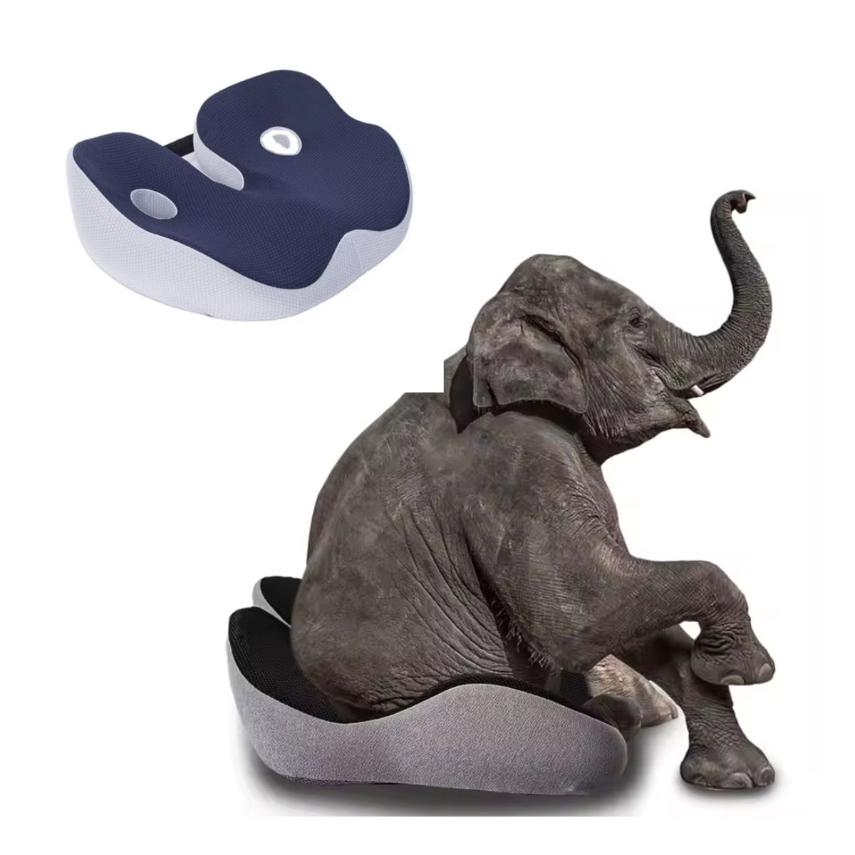 CARJOLLITY - Cojín de asiento PREMIUM hemorroides ciática coxis cadera