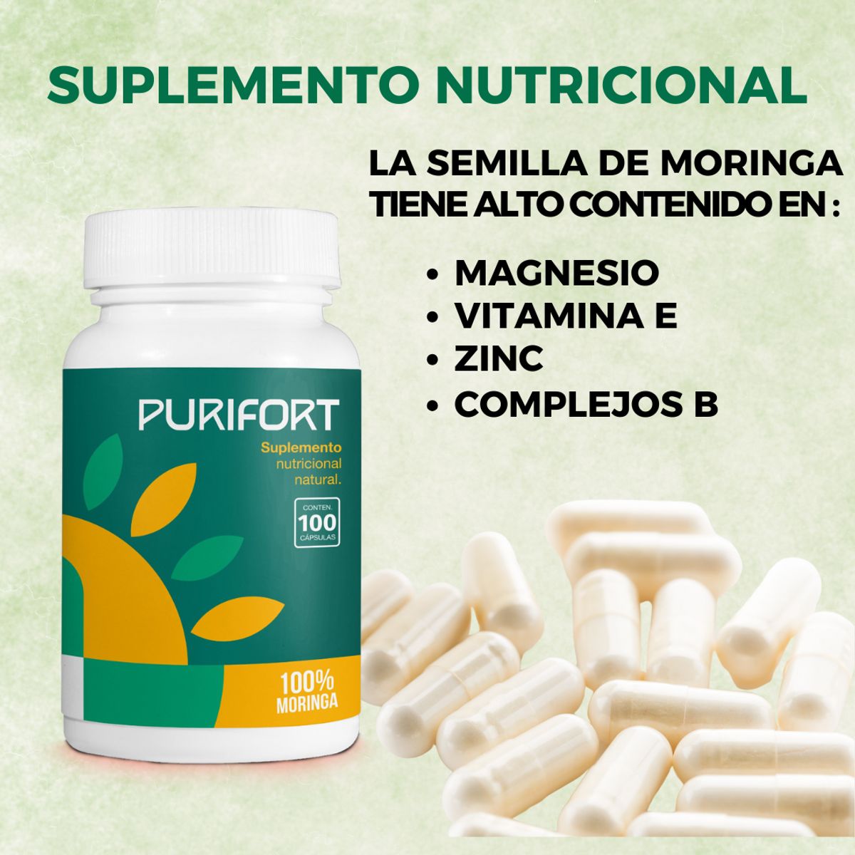 GENERICO - CÁPSULAS PURIFORT - SEMILLA MORINGA