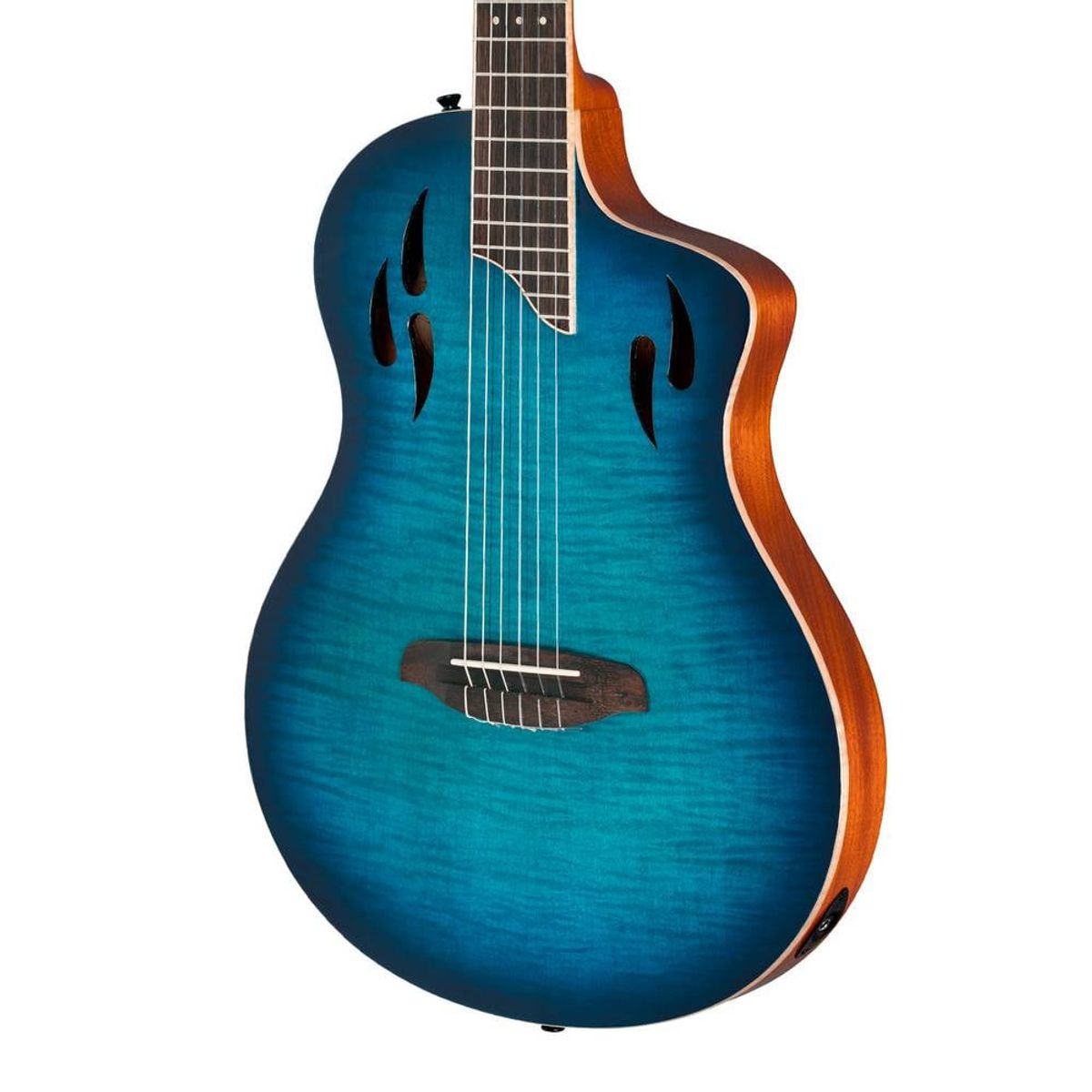 GENERICO - Guitarra Electro-Acustica - Ortega Family Series