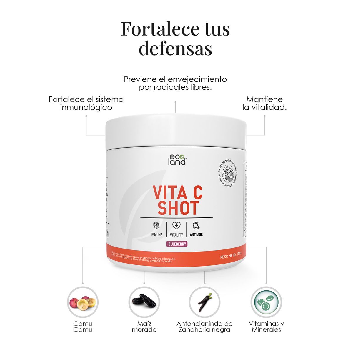 ECOLAND - VITA C SHOT -ANTIOXIDANTE NATURAL - POMO 150G BLUEBERRY