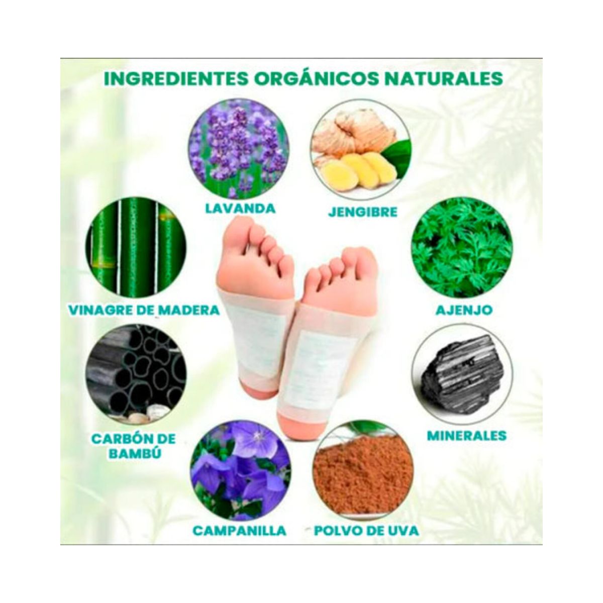 OEM - 1O PARCHE KINOKI DESINTOXICANTE