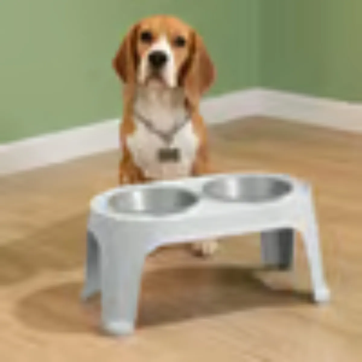 RIMAX - Comedero Alto PPerros Medianos Gris Hielo - 70135005