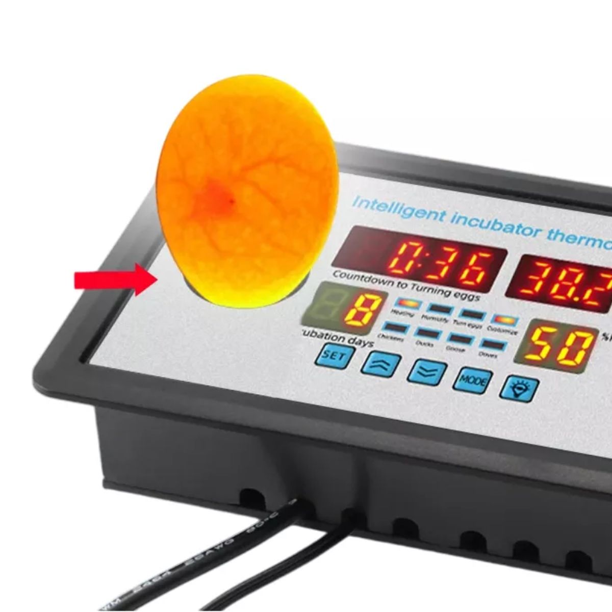 GENERICO - Termostato Digital ZFX-W9002 Con Ovoscopio Integrado