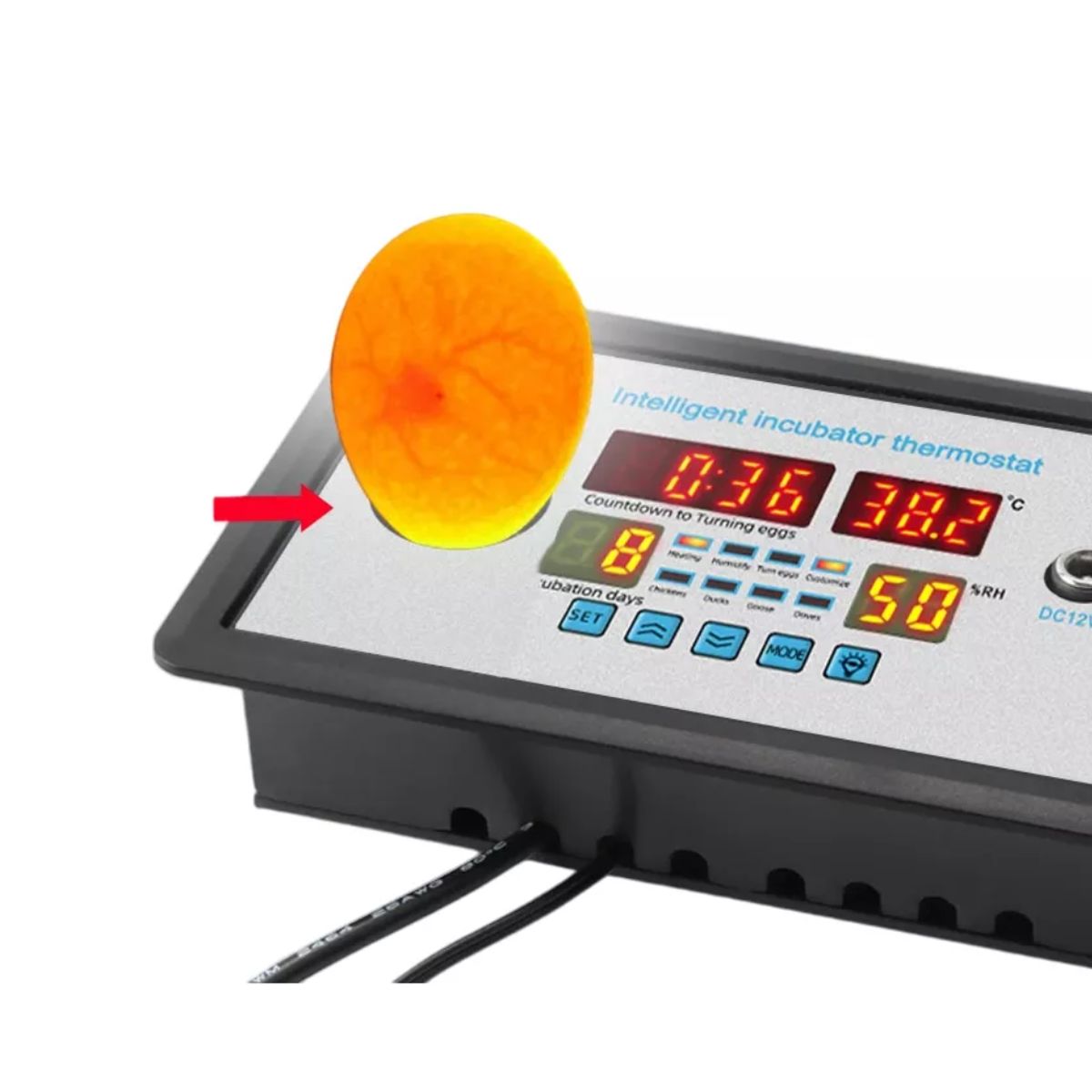 GENERICO - Termostato Digital ZFX-W9002 Con Ovoscopio Integrado