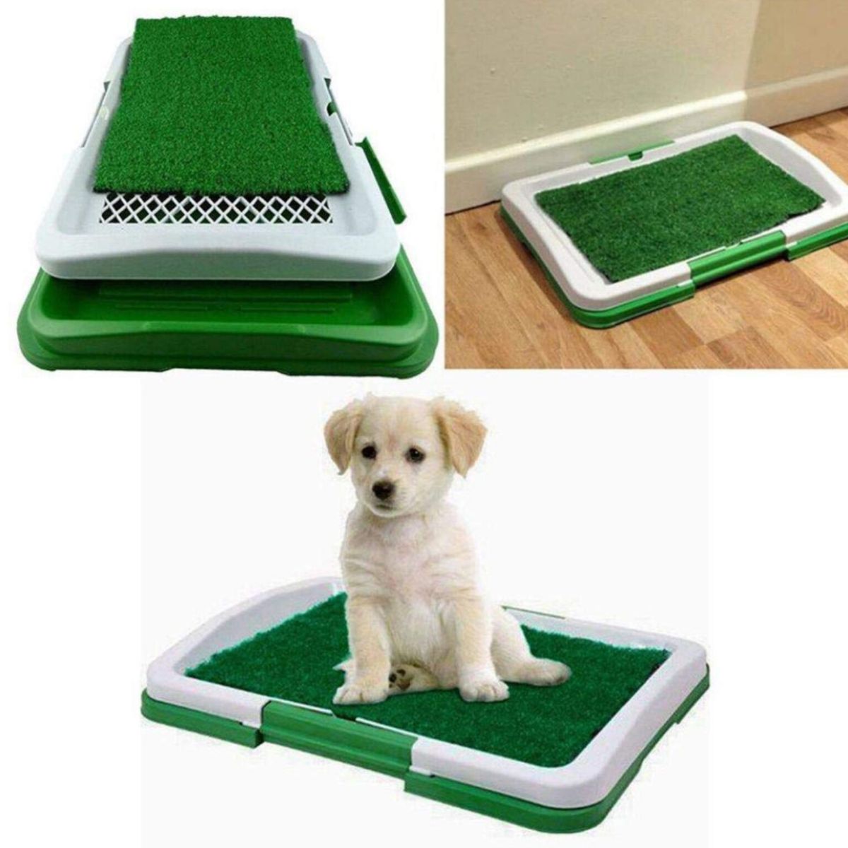 OEM - Baño entrenador Para Mascotas medianas