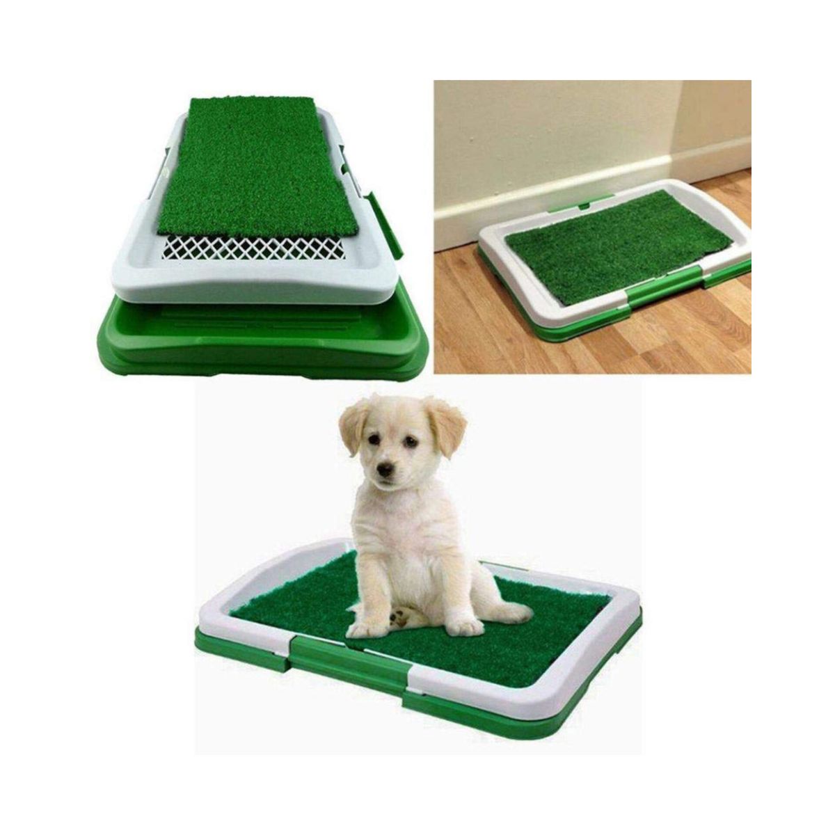 OEM - Baño entrenador Para Mascotas medianas